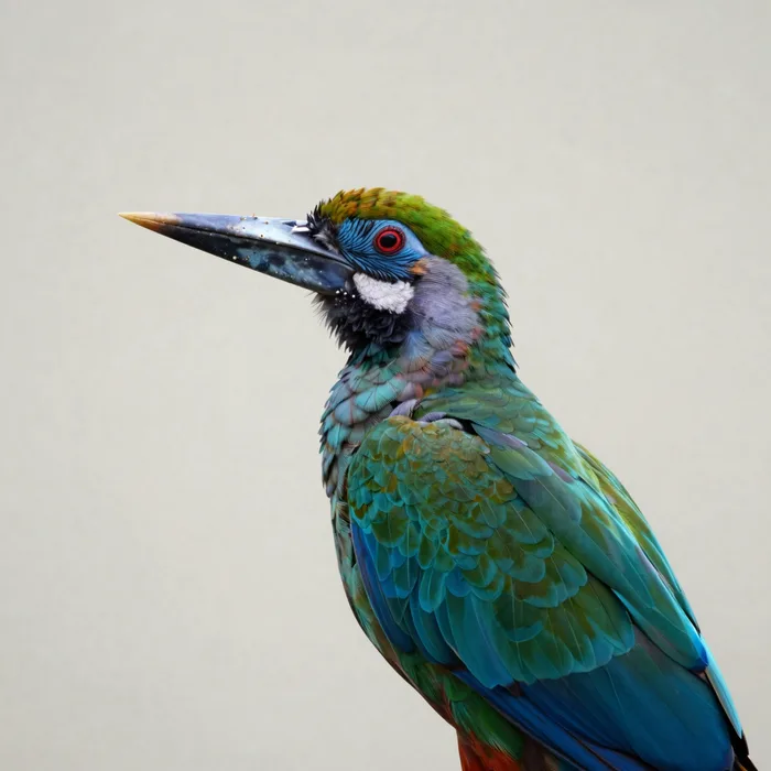 A dramatic bird-of-paradise against a pale wall