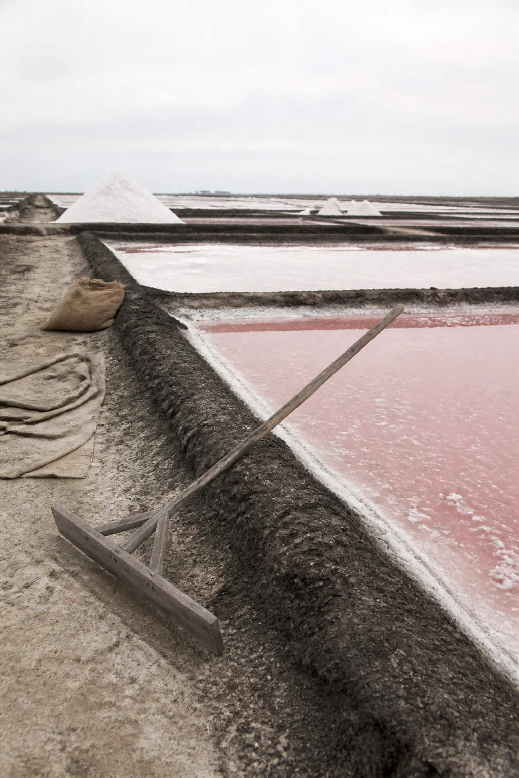A long-handled wooden salt rake resting across a clay bund beside a shallow brine pan